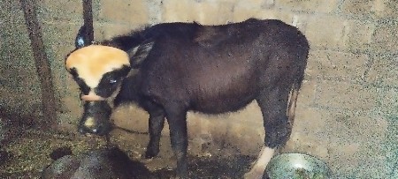 સુપાસી કિન્દરવા હાઈવે