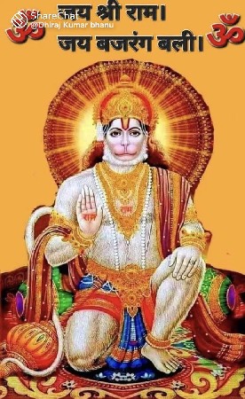 ખડેલા વેચવાના છે