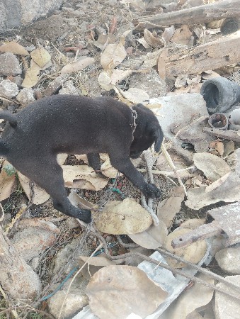 થંબનેલ 3