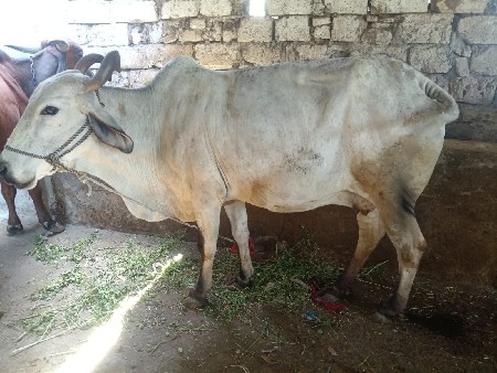 थंबनेल 2