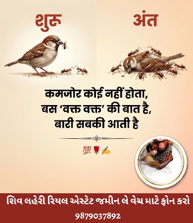 થંબનેલ 4