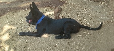 थंबनेल 3