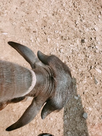 12 મહિના ની છેઃ