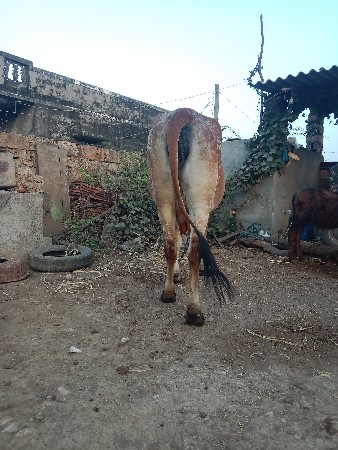 थंबनेल 2