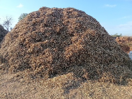 જીવીસ માંડવી નો ભૂકો વેચવાનો છે