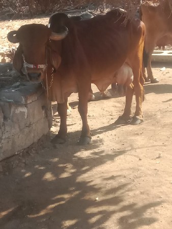 ૯૯૨૪૨ ૩૯૭૪૦