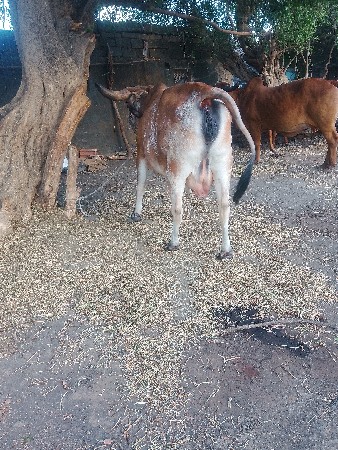 थंबनेल 2