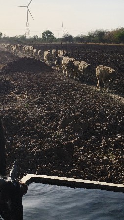 ૧૩ ગાડર છે