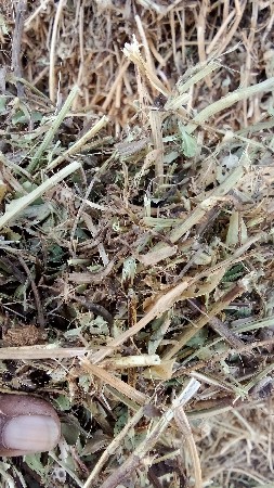 ભુકો વેચવાનો છે