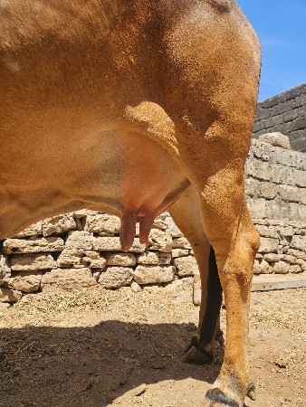 थंबनेल 2