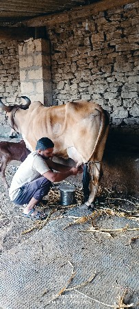 થંબનેલ 6