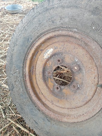 थंबनेल 3