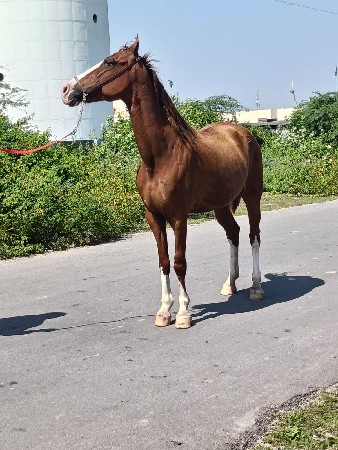 थंबनेल 3