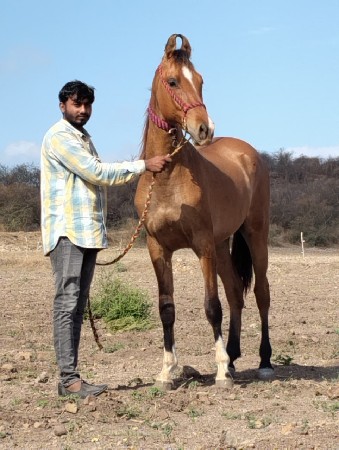 थंबनेल 3