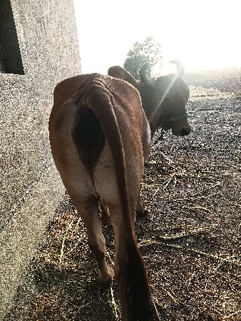 थंबनेल 2