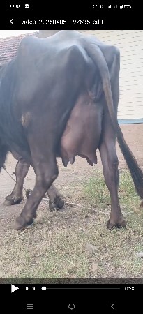 थंबनेल 1