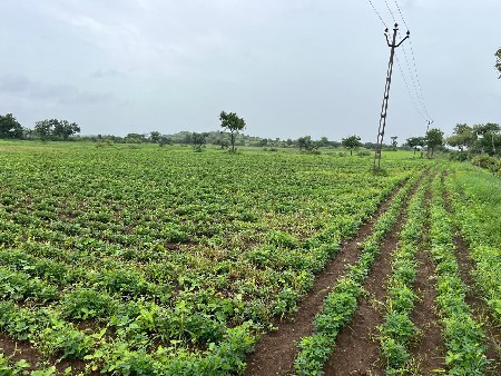 તોરી રામપુર  આજુબાજુ માં