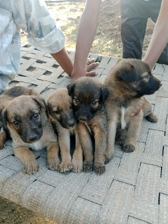 થંબનેલ 3