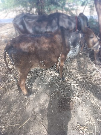 थंबनेल 3