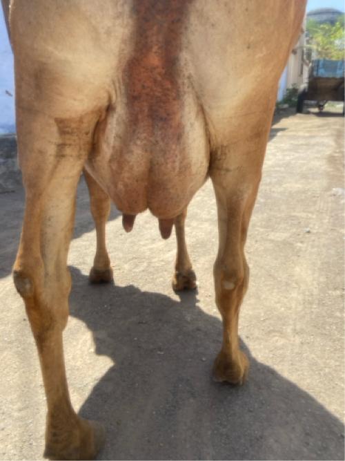 थंबनेल 3