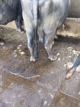 थंबनेल 3