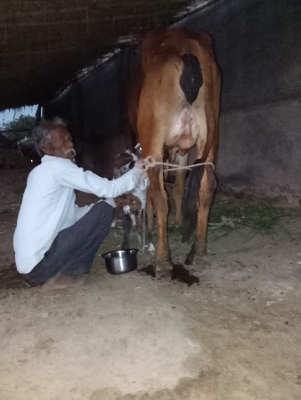 थंबनेल 3