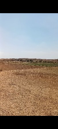 આ જમીન વેછ ના ની છે