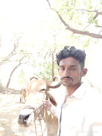 थंबनेल 2