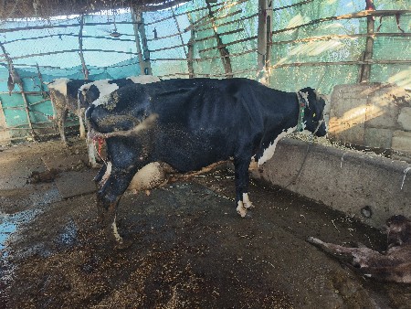 થંબનેલ 2