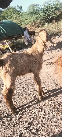 थंबनेल 2