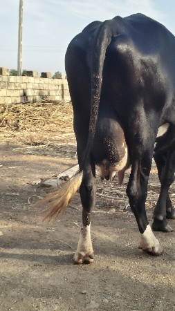 थंबनेल 2