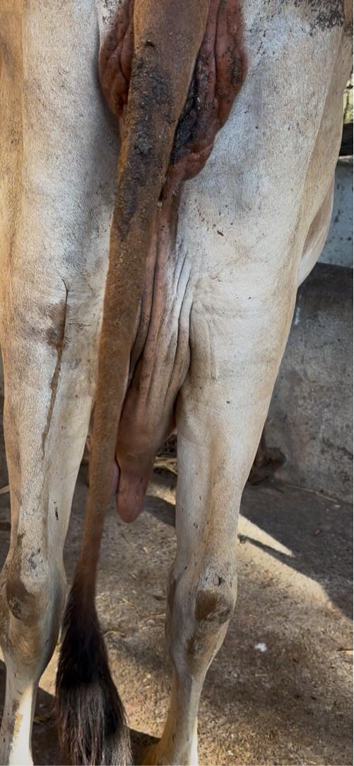 थंबनेल 2