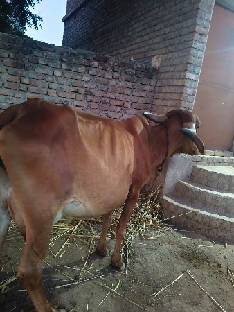 थंबनेल 2