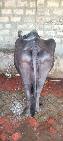 थंबनेल 3