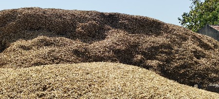 ભુક્કો મગફળી નો