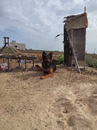 થંબનેલ 3