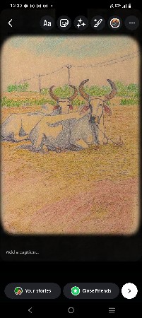 જ છે વેચવાના છે બીજી તરફ આવશે ટોટલ