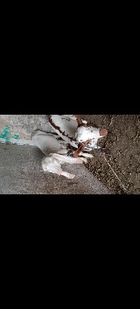 થંબનેલ 3