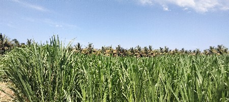 थंबनेल 3