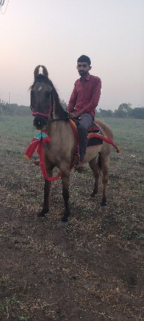 વેચવાની છે ભાઈ સારી છે