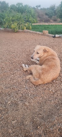 આ ડોક વેચવાનું છે