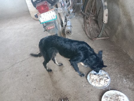 थंबनेल 3