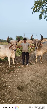 थंबनेल 2