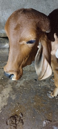 थंबनेल 3