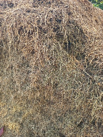 સારોલુ વેચવાનુ છે