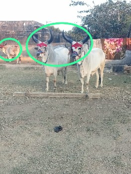 थंबनेल 3