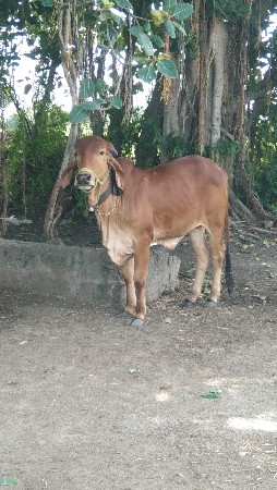 थंबनेल 3