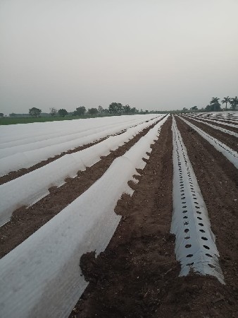 શાકભાજી વેચવાનો છે