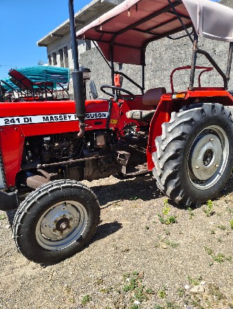 241 massy 2019 model