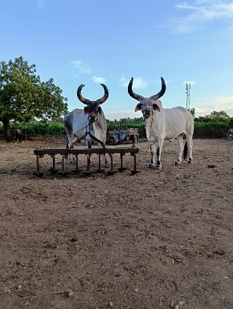 थंबनेल 2